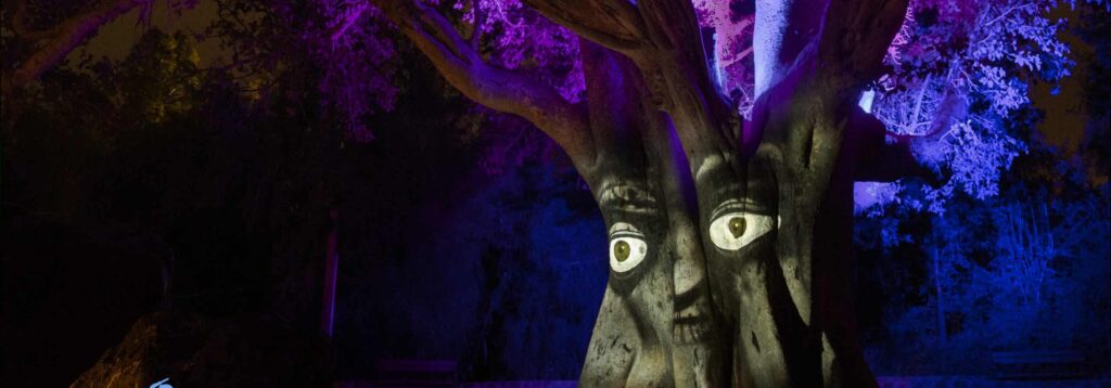 צילום בריז קריאייטיב