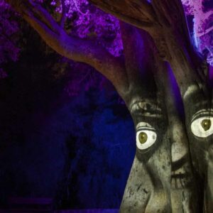 צילום בריז קריאייטיב