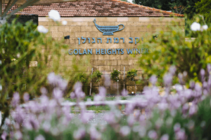 מרכז המבקרים winery רמת הGolan