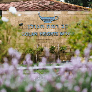 מרכז המבקרים יקב רמת הגולן