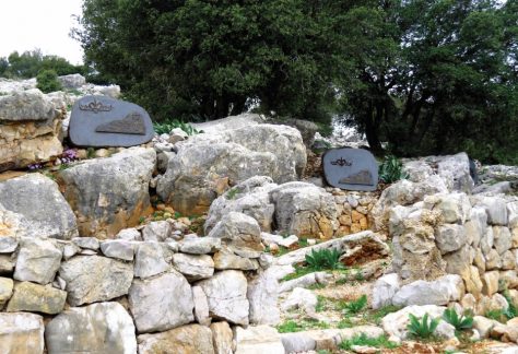 אנדרטת אגוז, רינה נגילה