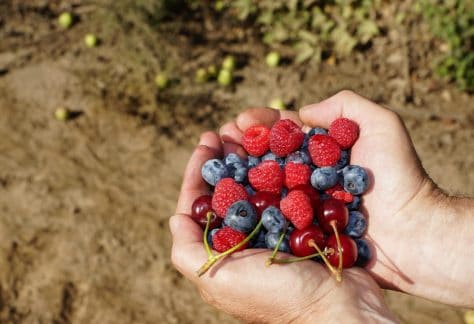 WhatsApp Image 2020-06-22 at 12.54.52