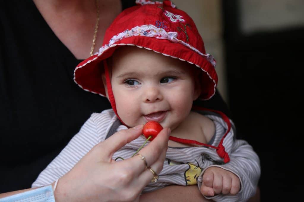 ביקור בחוות הסוס והדובדבן