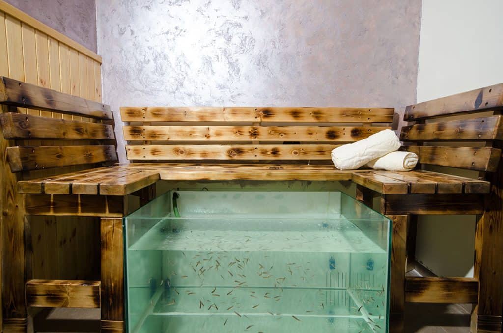 צימר הפי נס