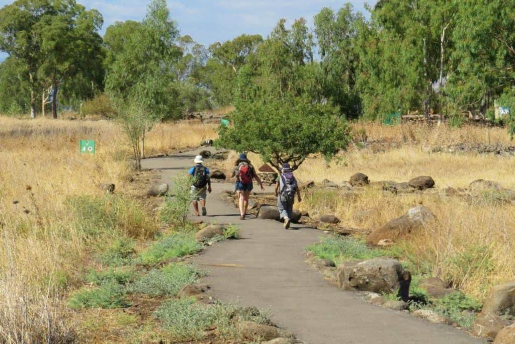בריכת המשושים שביל התצפיות עמית זקס