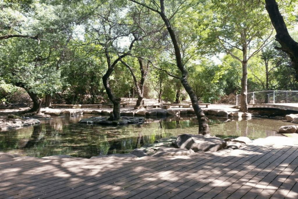 בריכת השכשוך בתל דן