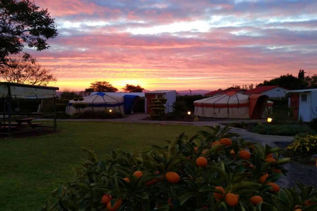 ג'ינג'ס חאן בגולן