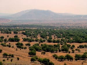 ‘בשבילם’- שביל הנופלים יער מרום גולן