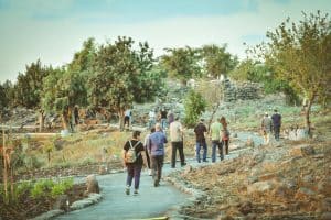 אום אל קנטיר