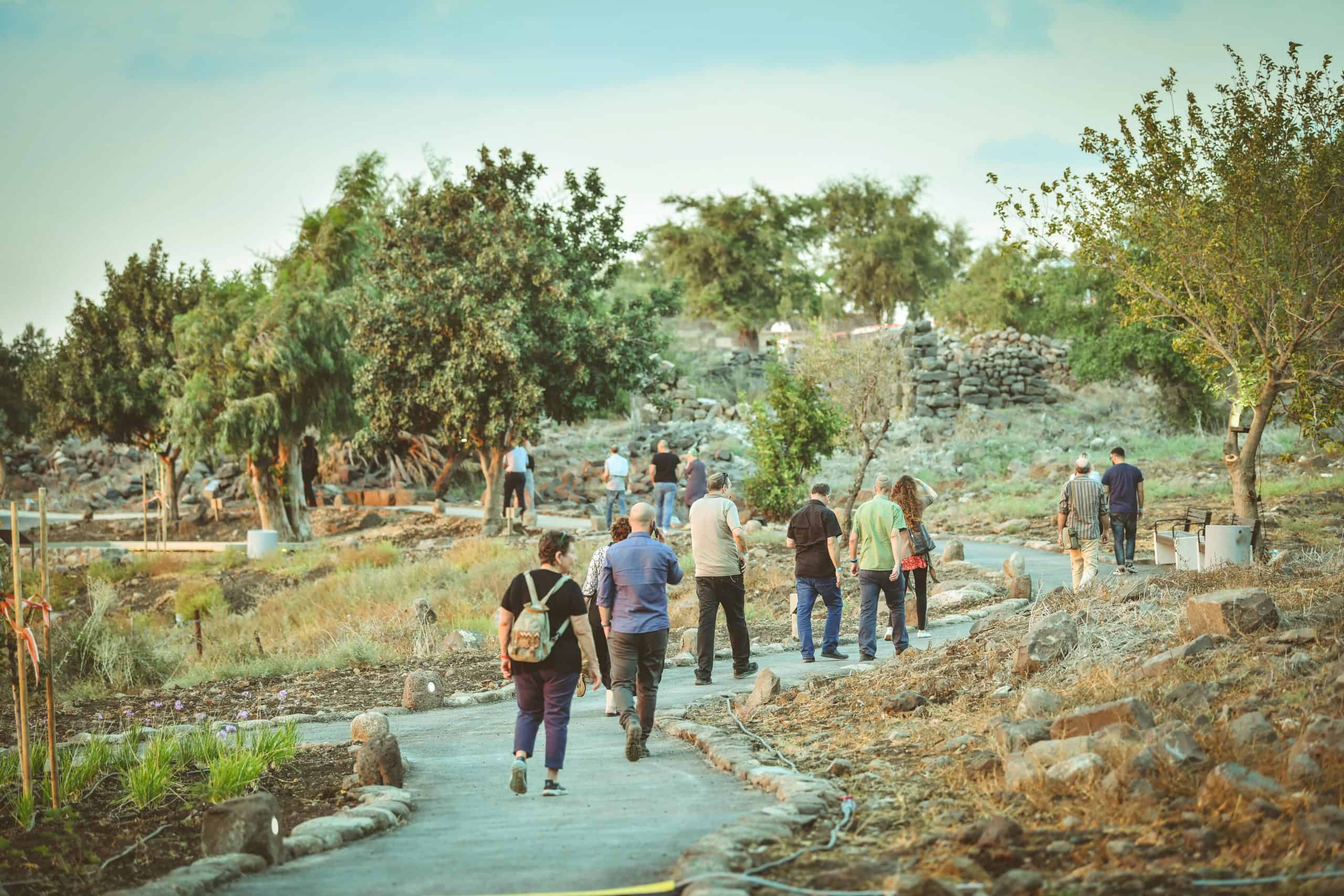 אום אל קנטיר