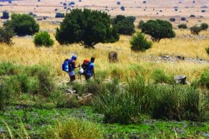 טיולים מודרכים שביל הגולן | תיירות גולן