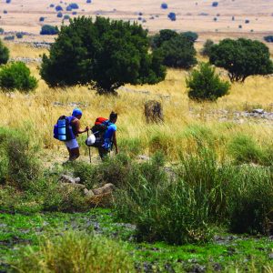 טיולים מודרכים שביל הגולן | תיירות גולן