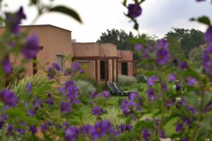 רם ברמה Avnei Eitan