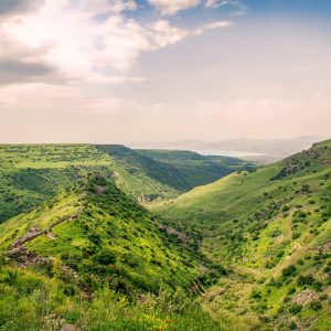 שמורת גמלא | תיירות גולן