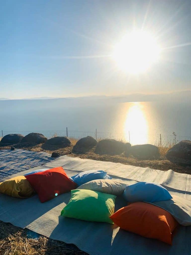 חוות הפיטאיה