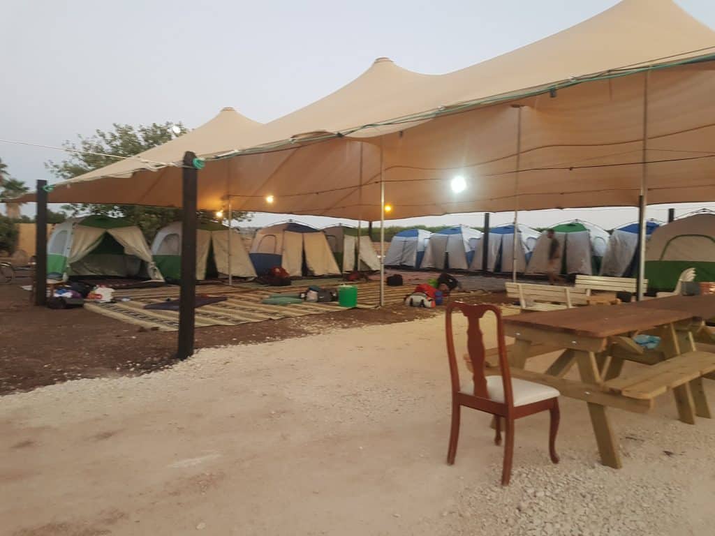 חוות הפיטאיה