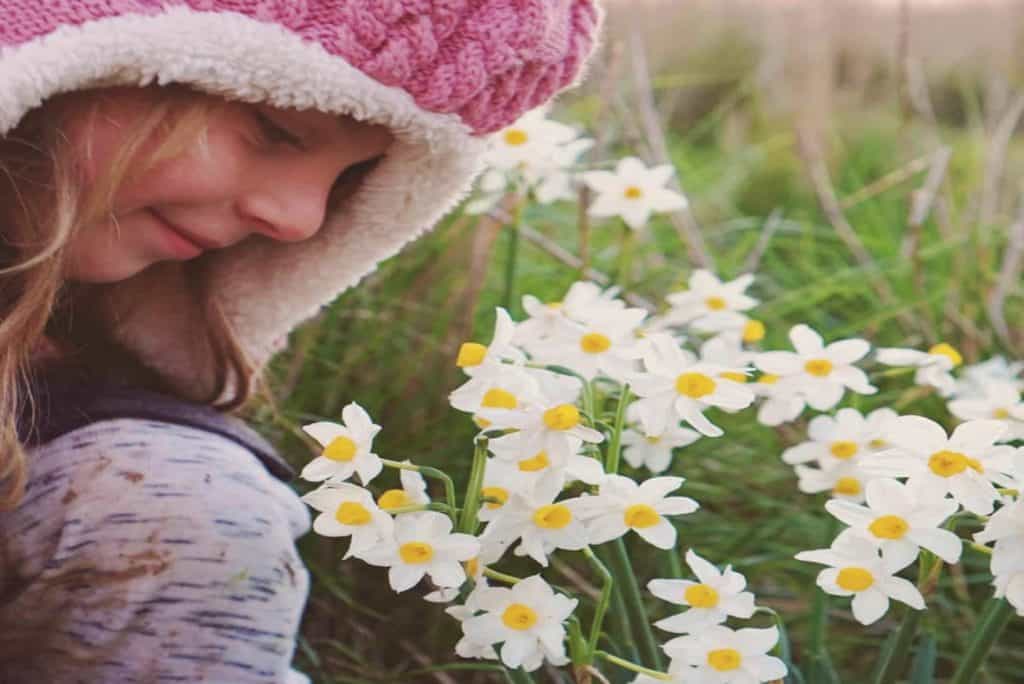 אחו נוב שמורה