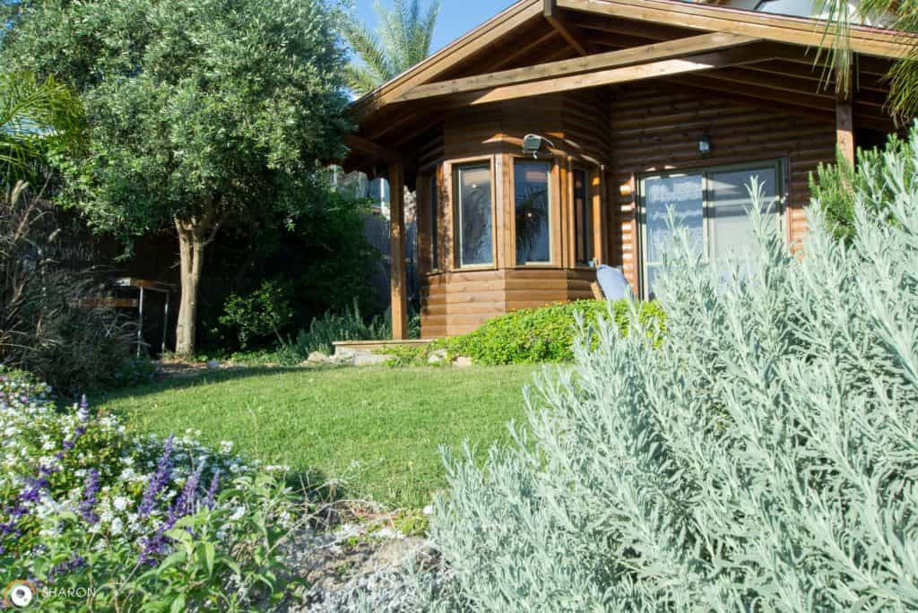 אניצ'ה חד נס