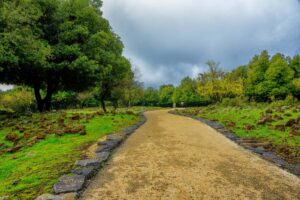 הג’ובה הגדולה