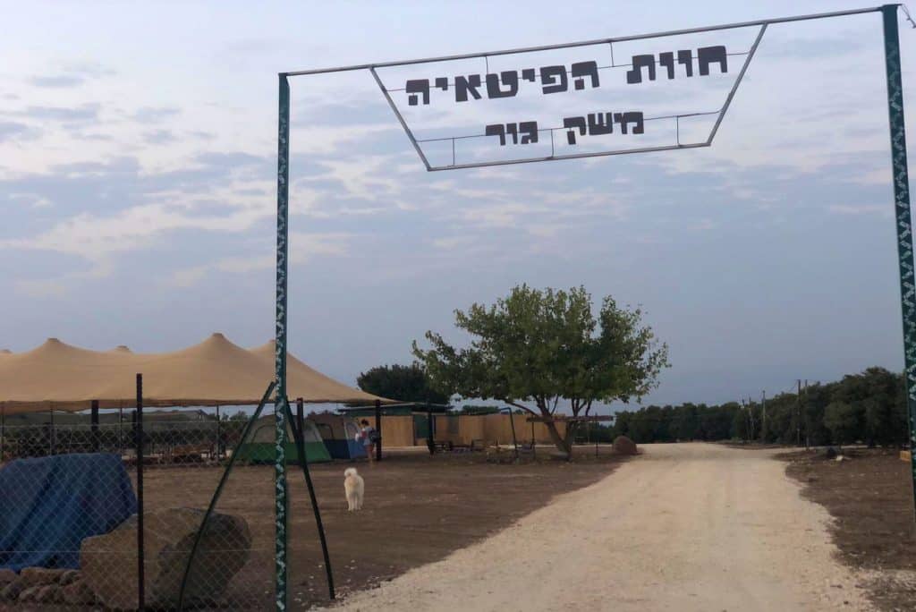 חוות הפיטאיה