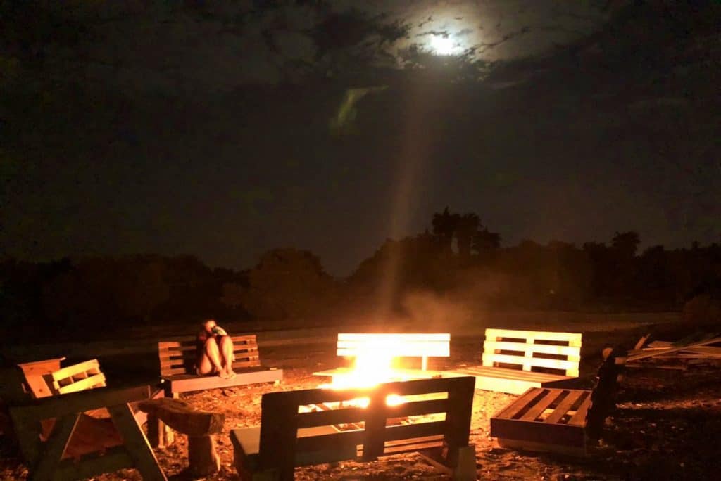 חוות הפיטאיה