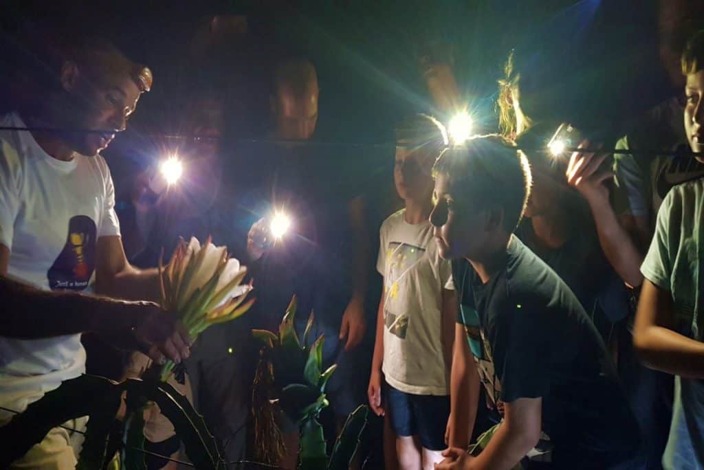 חוות הפיטאיה