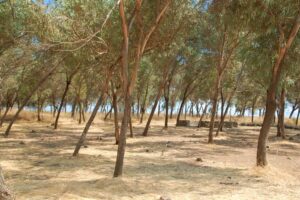 Givat Yoav חניון