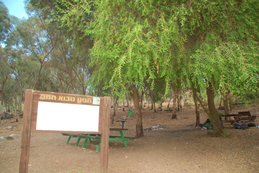 חניון יער מבוא חמה