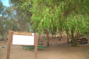 חניון יער Mevo Hama