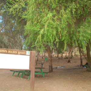 חניון יער מבוא חמה
