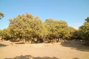 חניון לילה עין זיוון