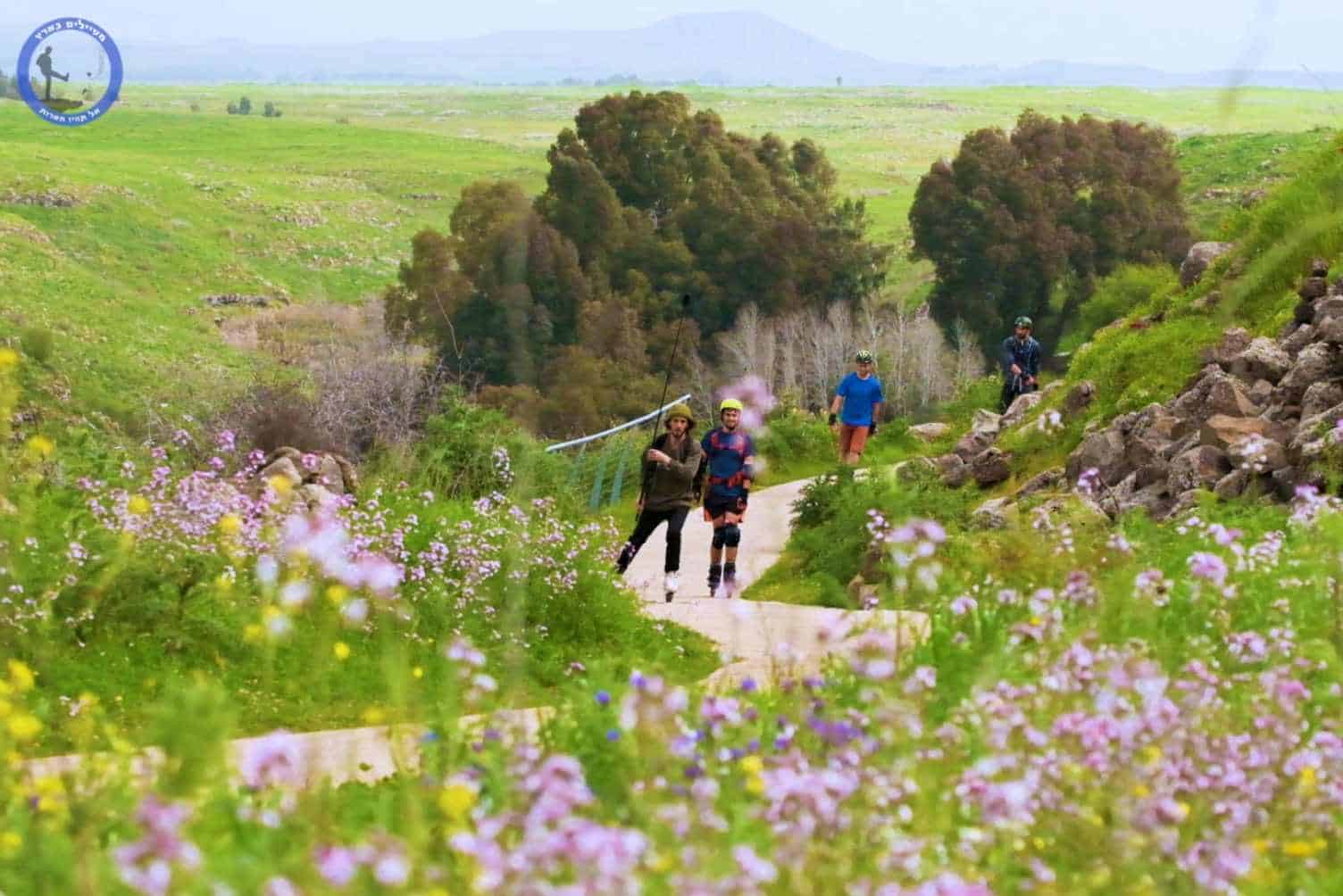 מתוך טיול בטיילת דרום הגולן