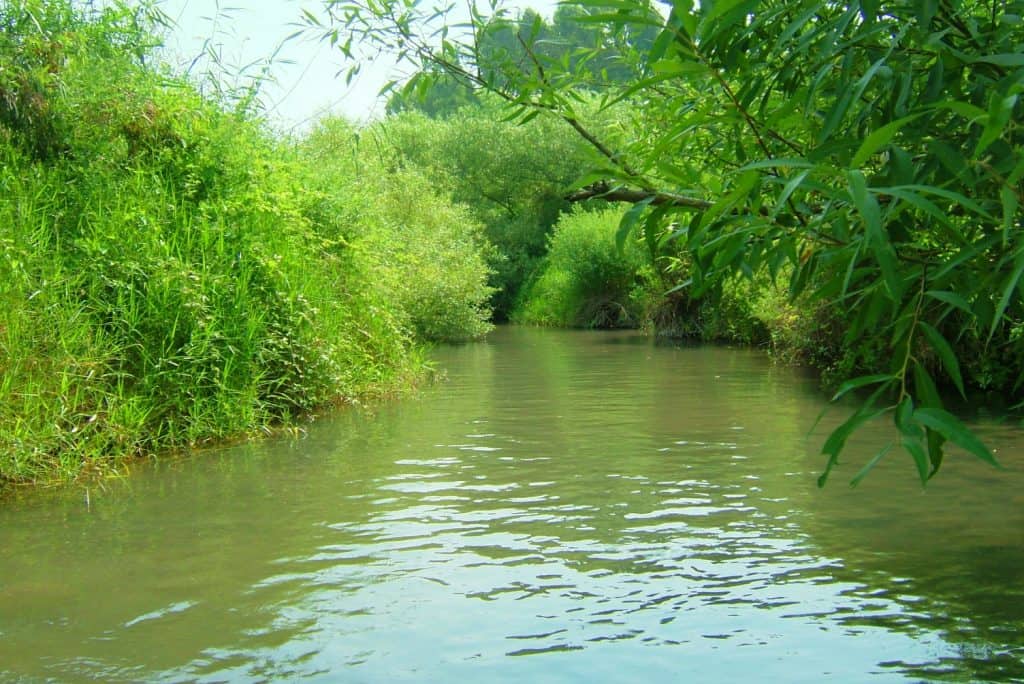 שמורת הטבע מג'רסה