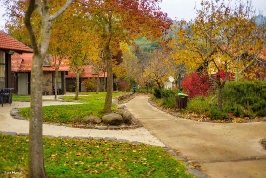 כפר הנופש מרום גולן