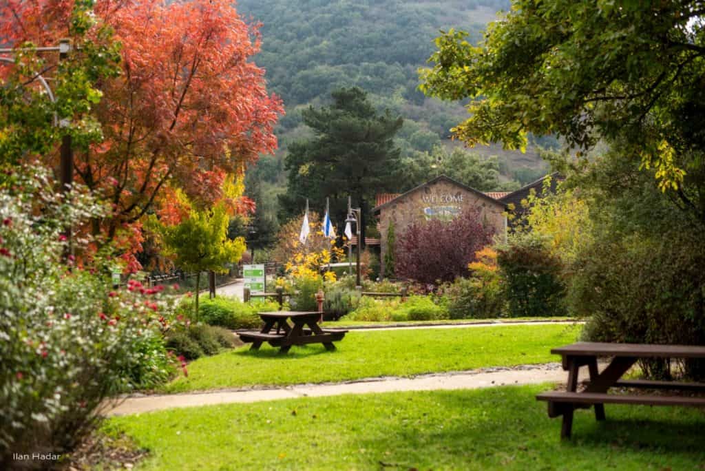 כפר הנופש מרום גולן