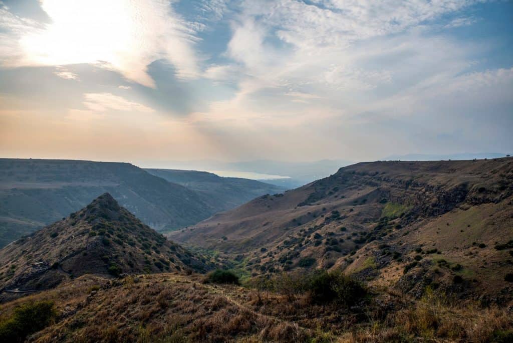 שמורת טבע גמלא | תיירות גולן