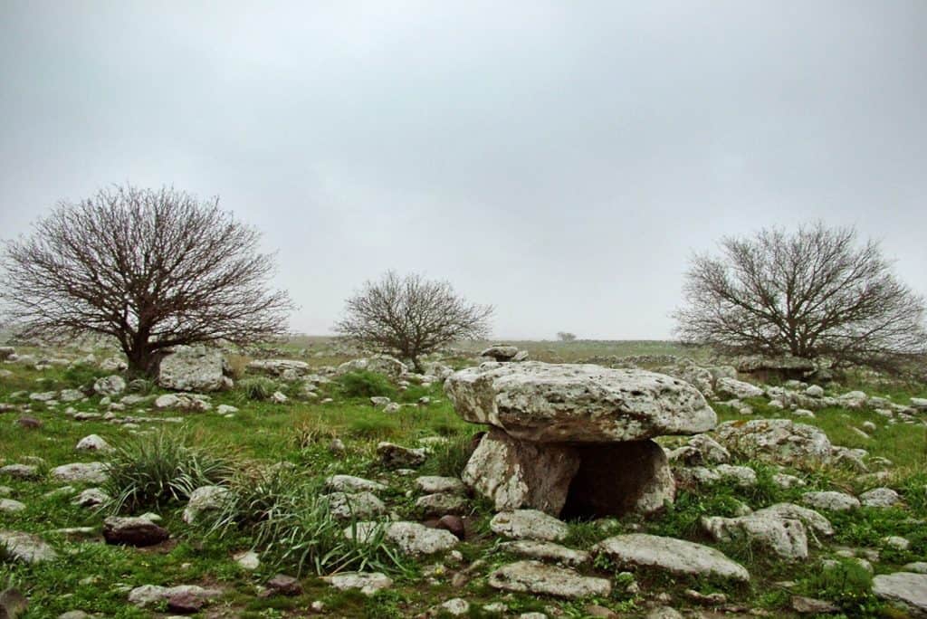 שמורת טבע גמלא