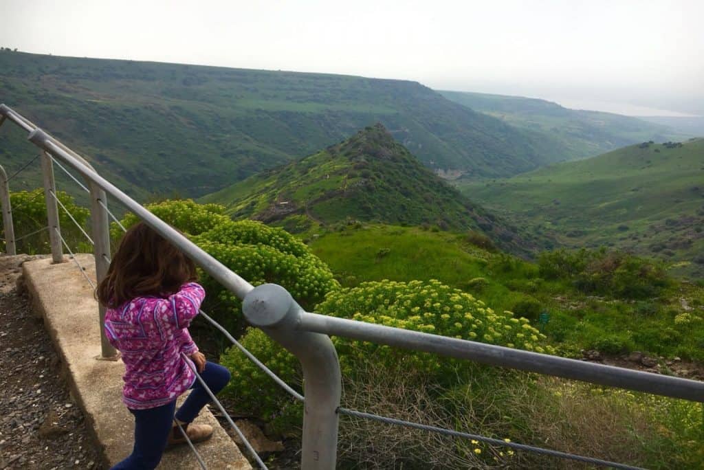 שמורת טבע גמלא