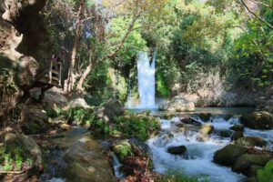 שמורת הבניאס