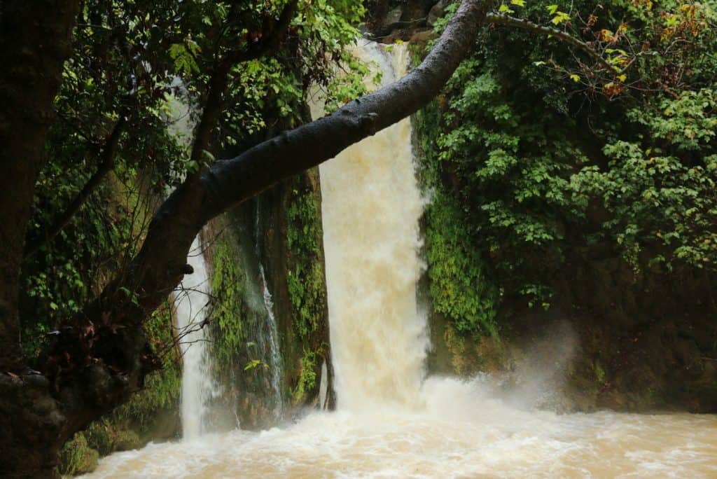 שמורת הבניאס