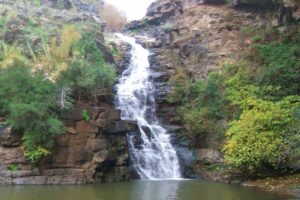 שמורת טבע יער יהודיה