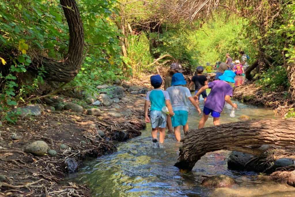 שמורת הטבע מג'רסה