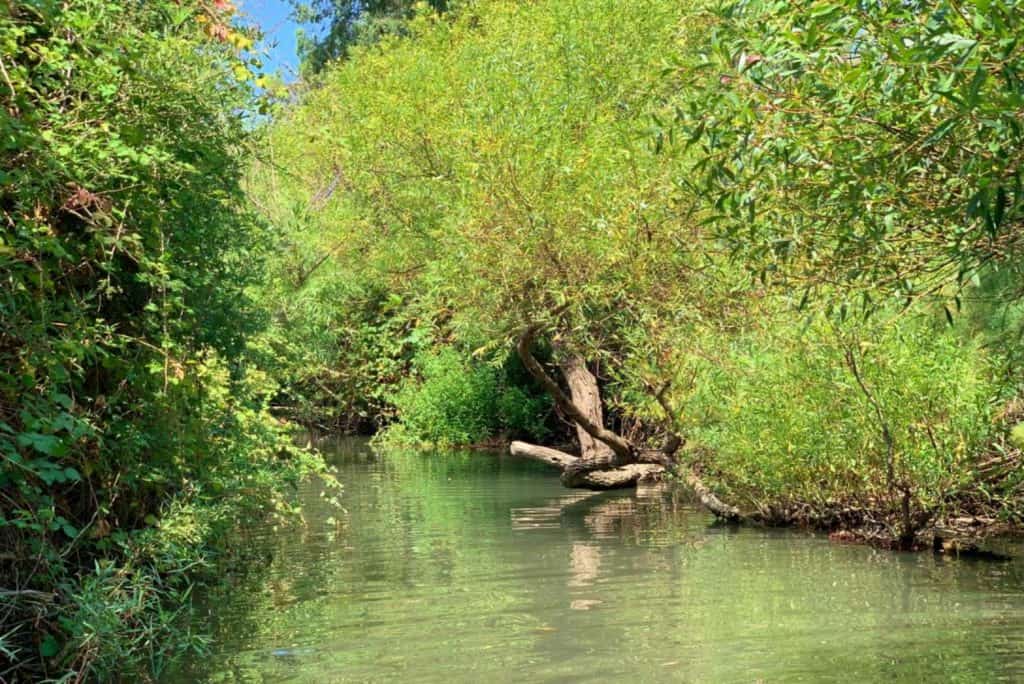 שמורת מג'רסה