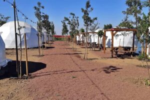 חאן הדובדבן שבגולן