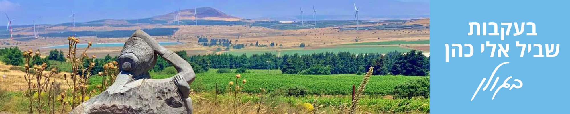 בעקבות אלי כהן שביל