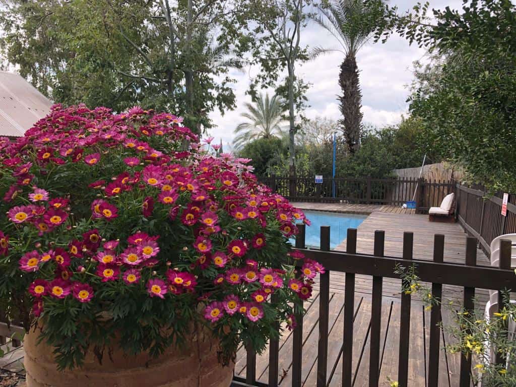 הבקתה ברמות