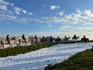 חוות הבוקרים