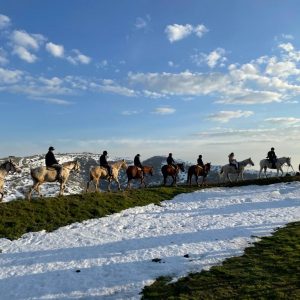 חוות הבוקרים