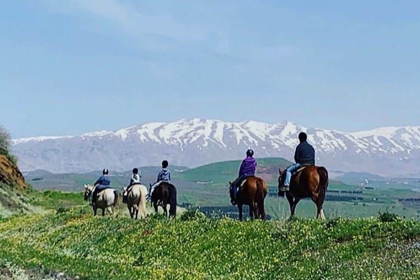 חוות הבוקרים מרום גולן