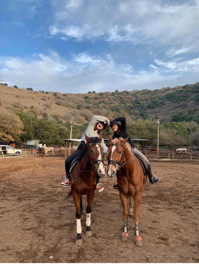 הבוקרים סוסים